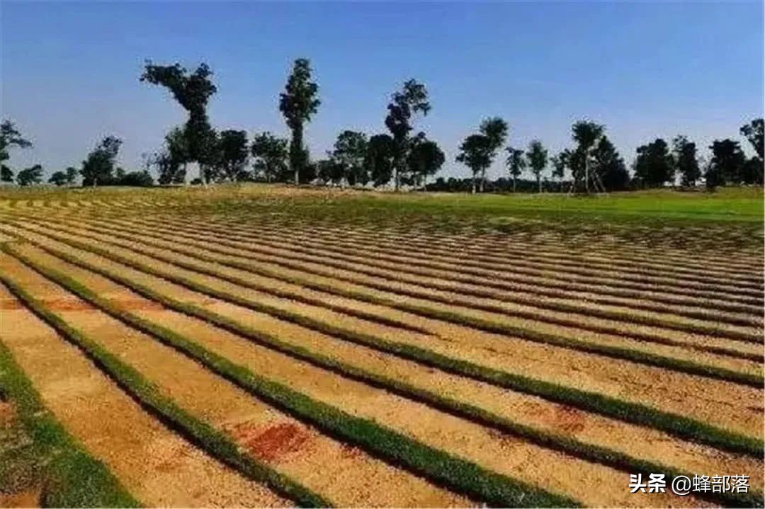 2021年土地闲置会被征收，征收标准你知道多少？把握好5点不吃亏