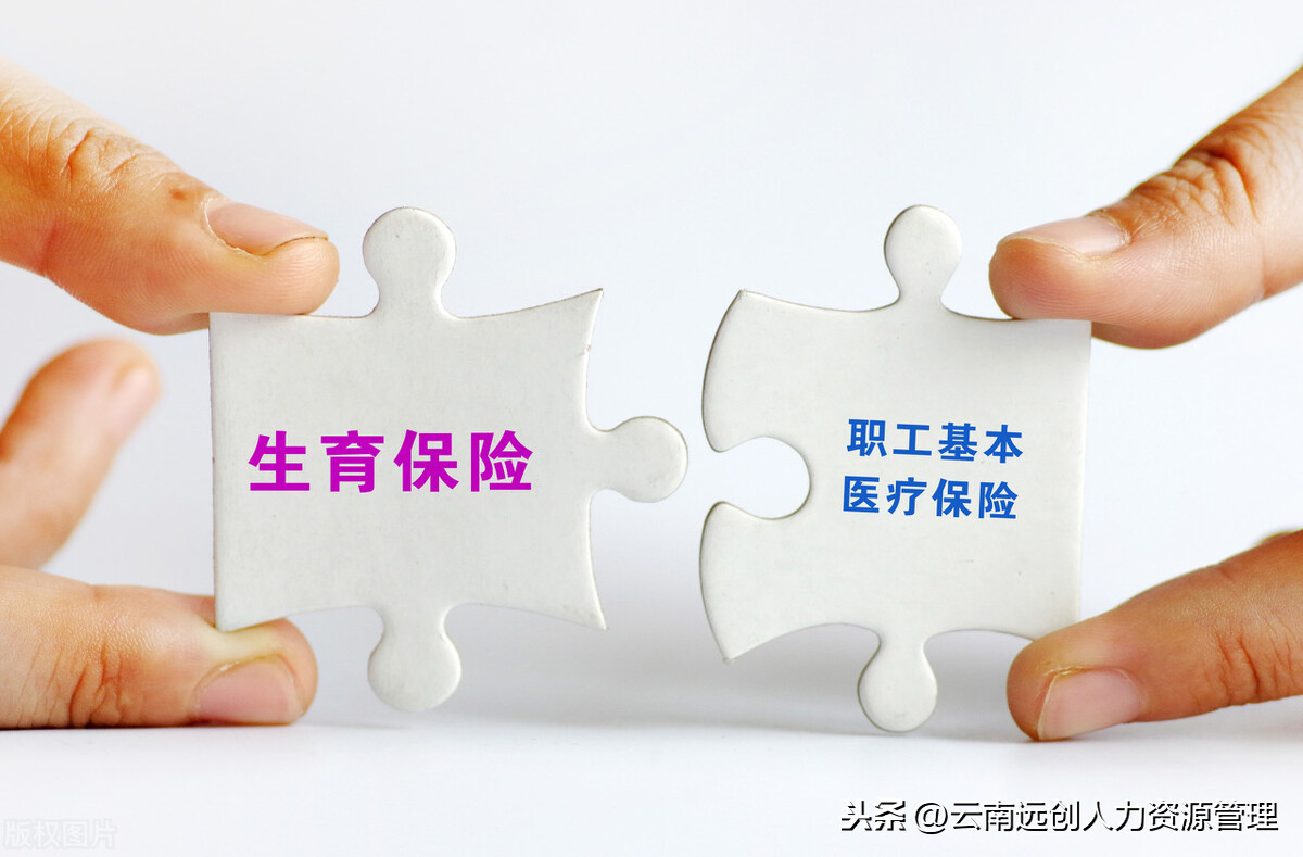 生育保险和医保合并有何影响？合并后怎么报销？