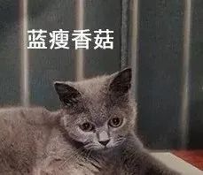 诉讼离婚过程中,对方跟踪骚扰、持续施加精神压力,我该怎么办?