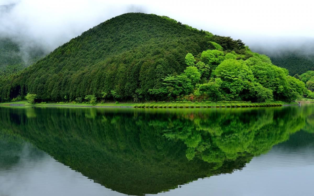 个人如何去开办一家外贸公司，注册的流程？花费大概是多少？