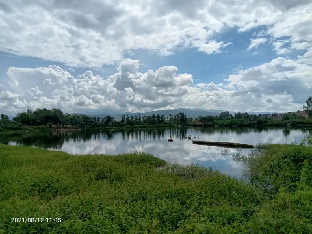 关于湿地，哪些是我们能用的？哪些不能？《中华人民共和国湿地保护法》里的这几条你得注意