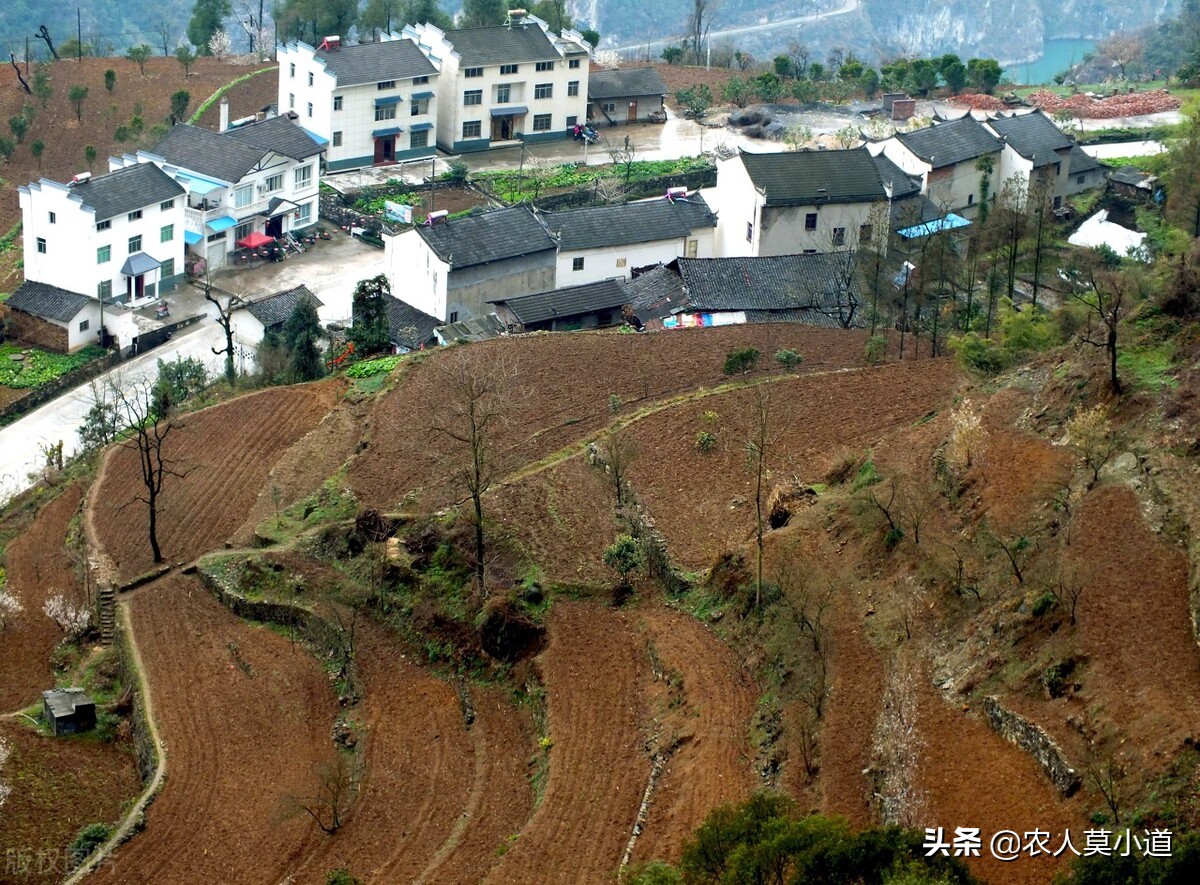 很多农民不知道为什么土地和宅基地不进行确权了？这到底是为什么