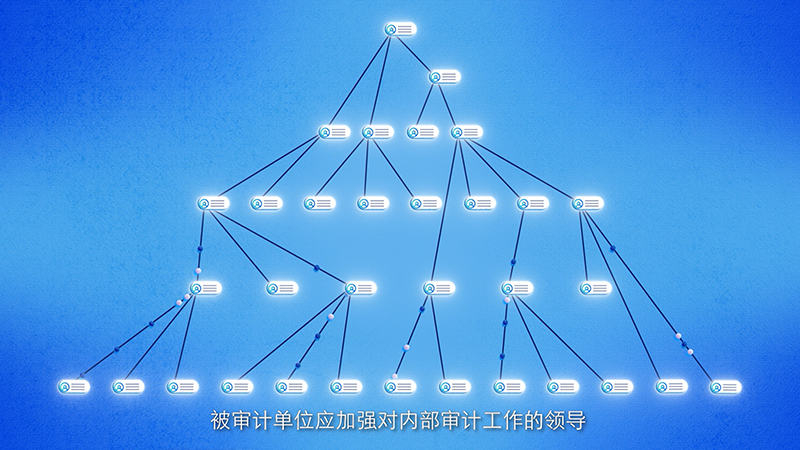 新修订审计法来了!这些“点”跟你有关