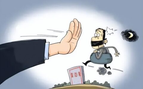 【以案说法】结伙偷越国境，难逃法律制裁