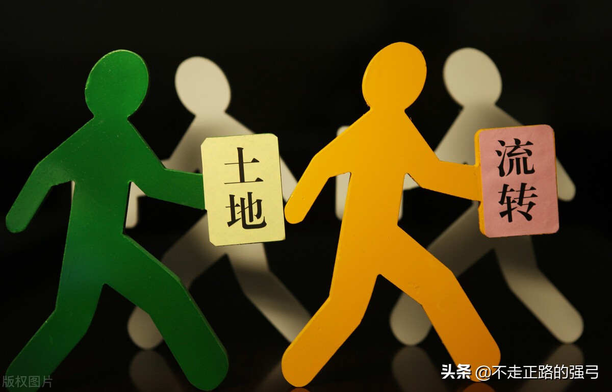 （农村）土地承包和租赁的区别