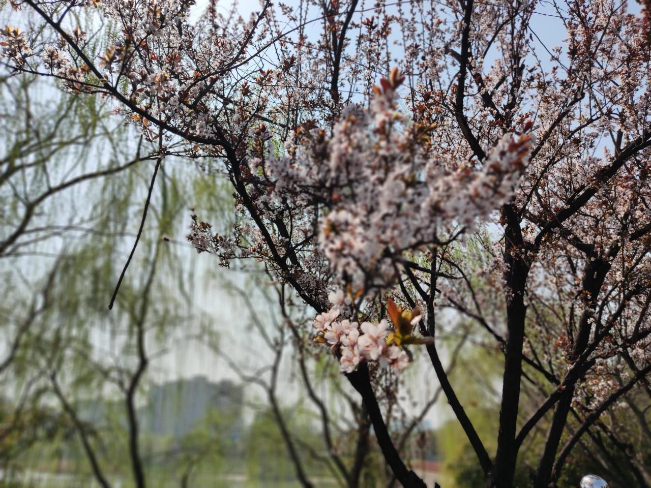 八种证据种类，六种证据取得方式‖如何对现场勘验证据有效质证