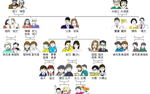 近姻亲关系包括哪些及近姻亲关系的司法解释