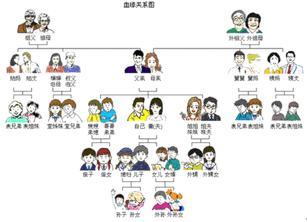 "近姻亲"关系人有哪些？与你想的肯定不一样