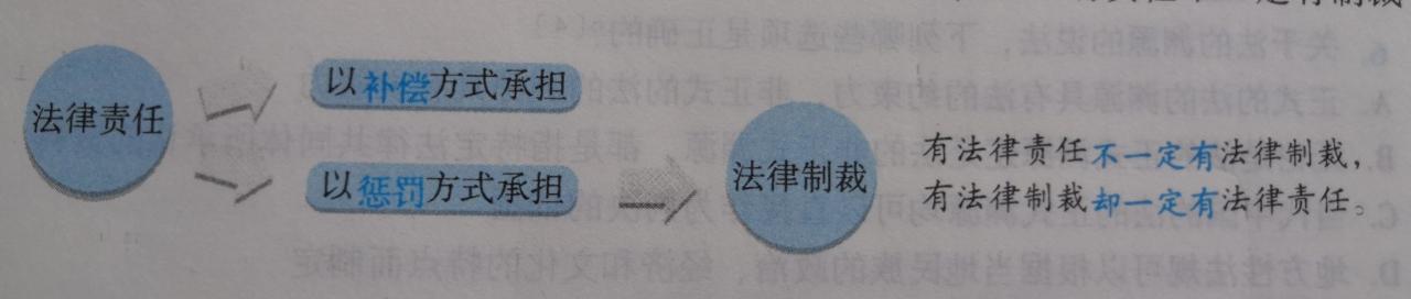 什么是法律责任?