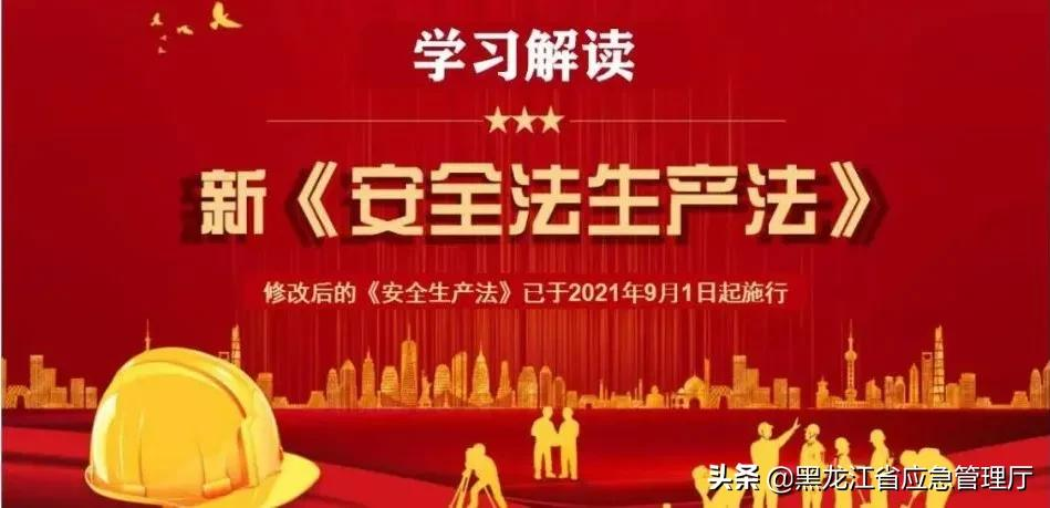 新《安全生产法》解读(第118条)