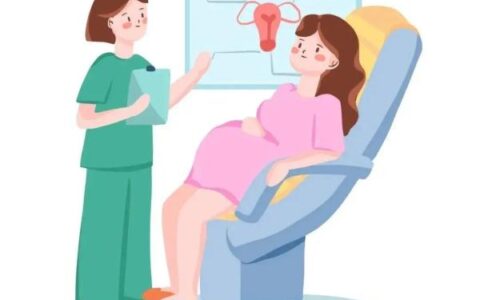 女方没有生育险，能用男方的生育险报销吗？