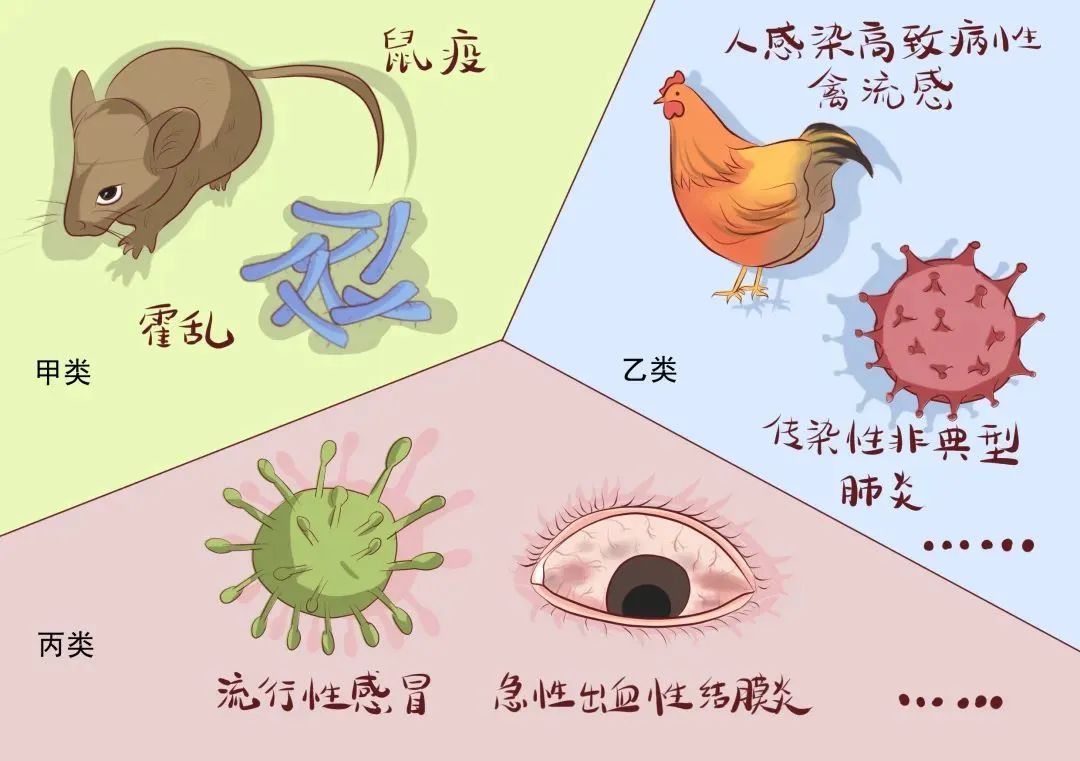 疫情期间,传染病防治法的这些规定,你必须知道