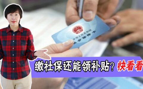 自己掏钱缴社保怎么操作？学会了，还有机会还领好几千的国家补贴