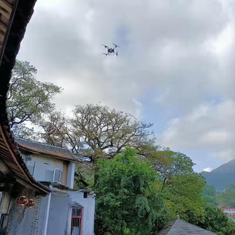 林业局:保护古树名木传承历史文化 促进生态文明建设和经济可持续发展