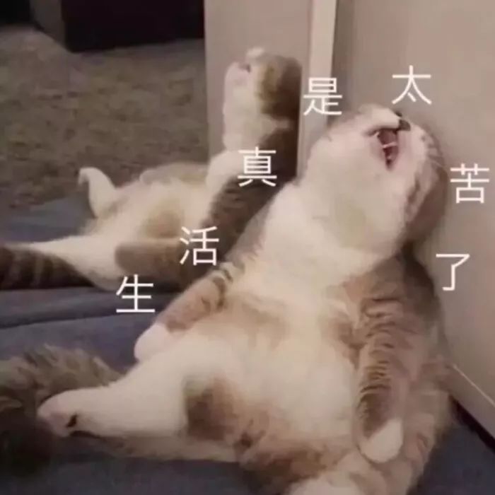买了不想要的保险，怎么退保才能0损失？