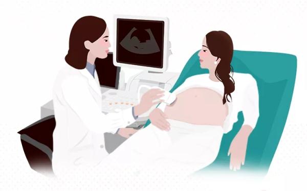 女方没有生育险，能用男方的生育险报销吗？