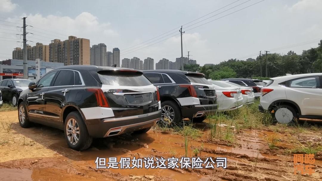 汽车保险该怎么买?这几款喵哥强烈推荐,买了让你省心省事
