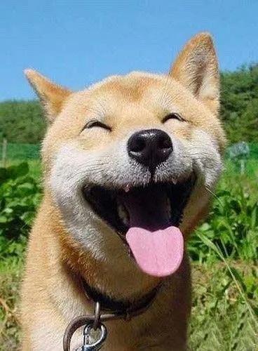 中国法定放假日有哪些