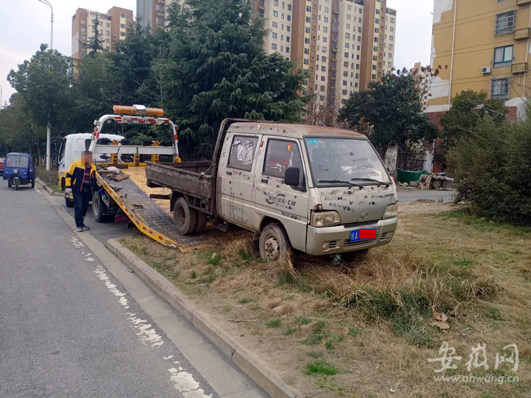 乱停车为何被罚500元?合肥城管:毁绿了