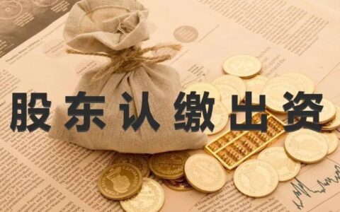 公司法人和股东的风险