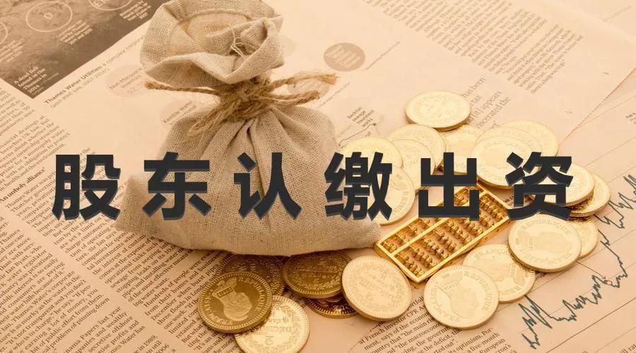 公司法人和股东的风险