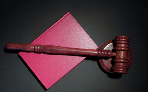 诉讼离婚全流程，2分钟看完，不跑冤枉路