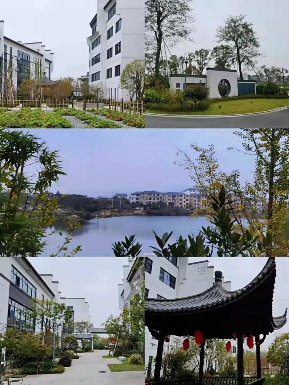 个税申报开始啦，很多人退税了，赶紧冲