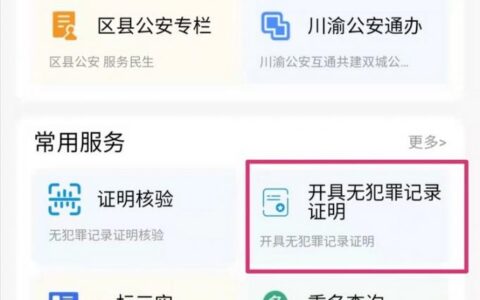 入职“无犯罪记录证明”怎么开？在线一键就能申办