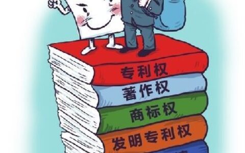 深入解析知识产权及其法律特征