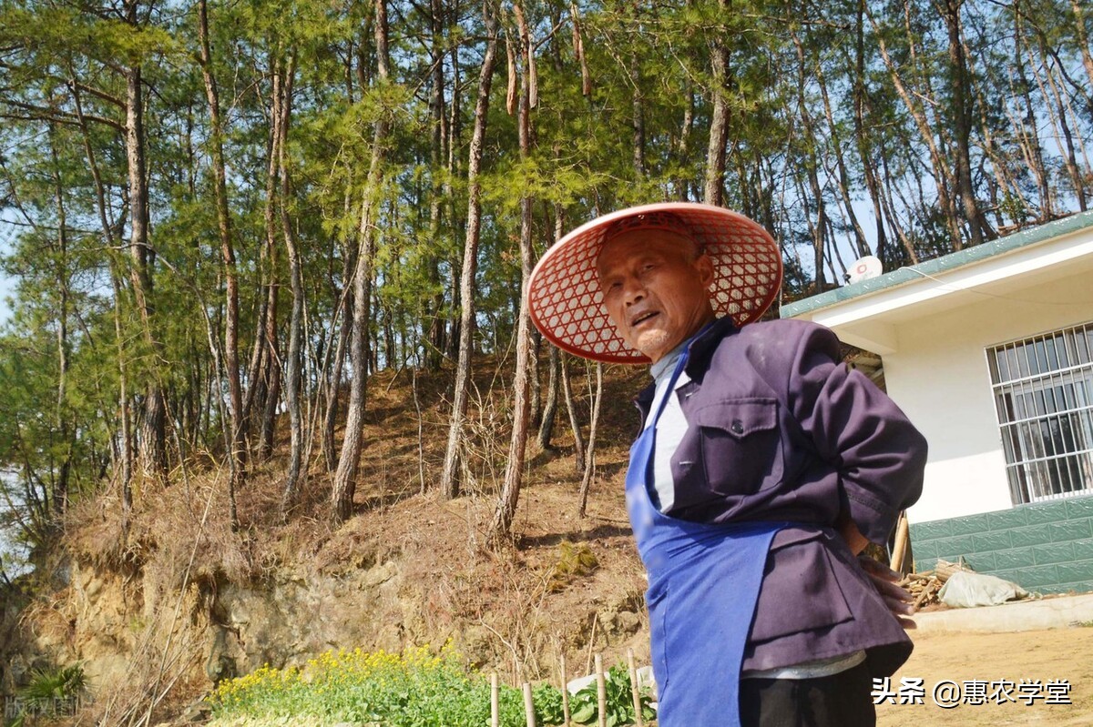 2022个人养老金哪些人可参加？缴纳上限多少？如何缴纳？一文解读