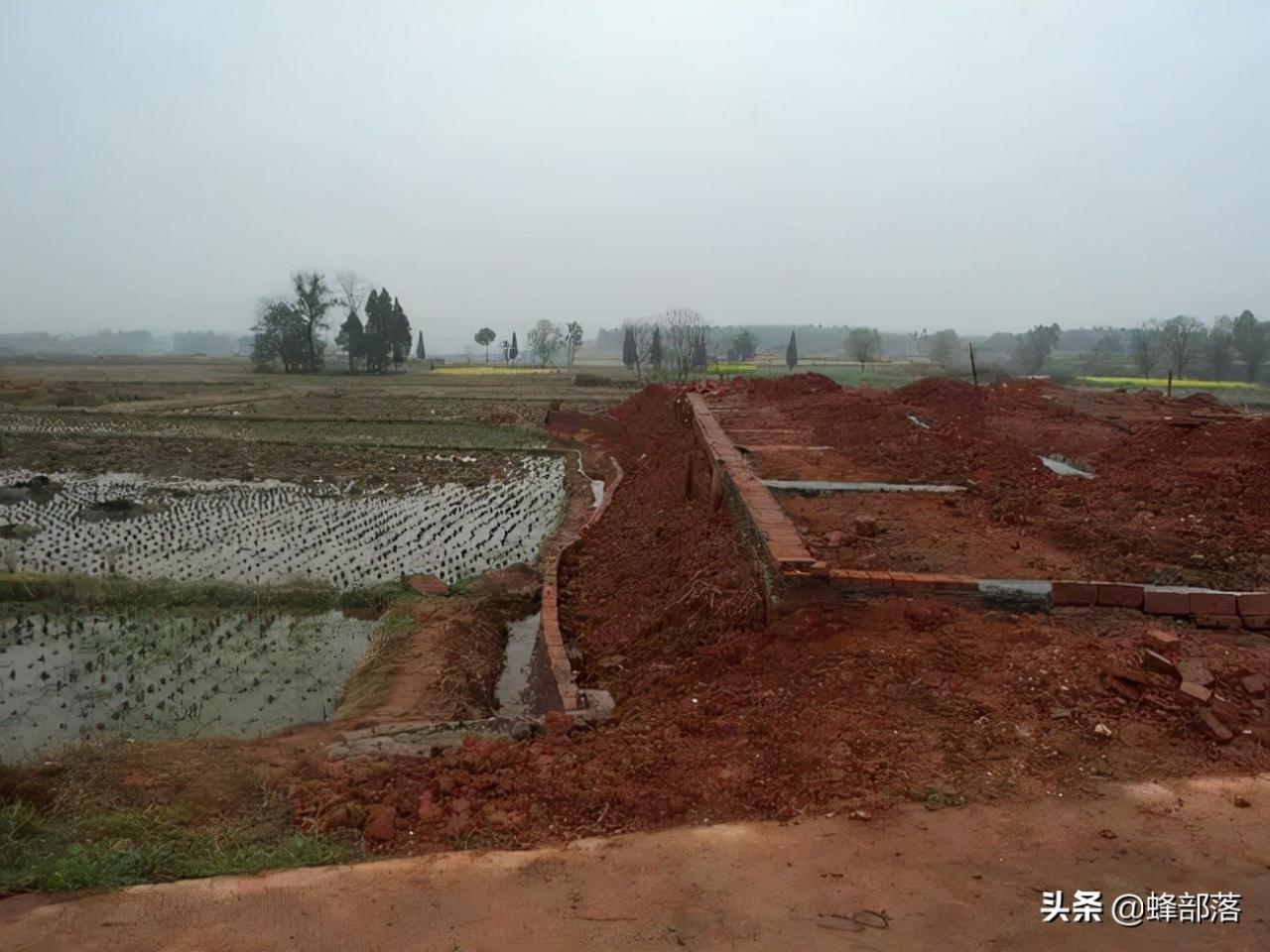 农村耕地建房涉及违建，已经在耕地上建好的房子，会强制拆除吗？