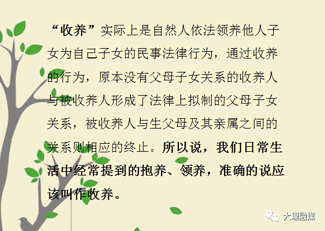 民法“典”亮生活：抱养？领养？收养