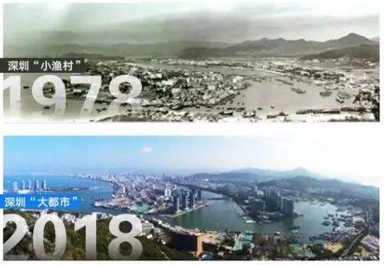 个税最高25%,深圳为抢人才“拼了”!不限学历,来了就是深圳人