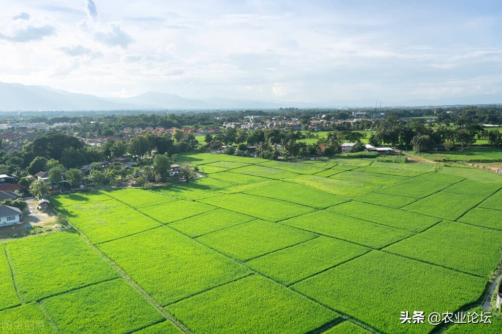 2022年撂荒地复耕补助标准是多少钱一亩？附各地补助标准