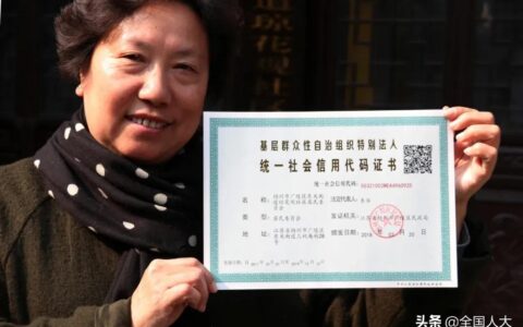 独立法人资格是什么意思及具有国内独立法人资格