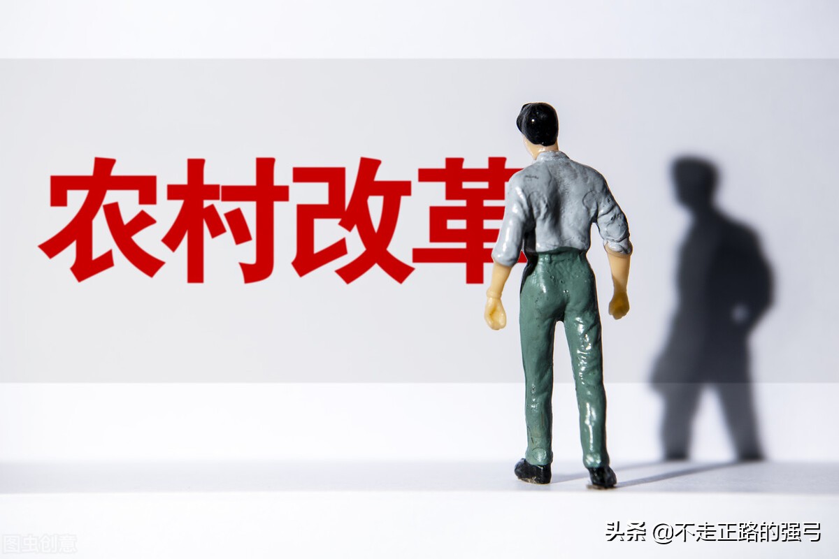 （农村）土地承包和租赁的区别