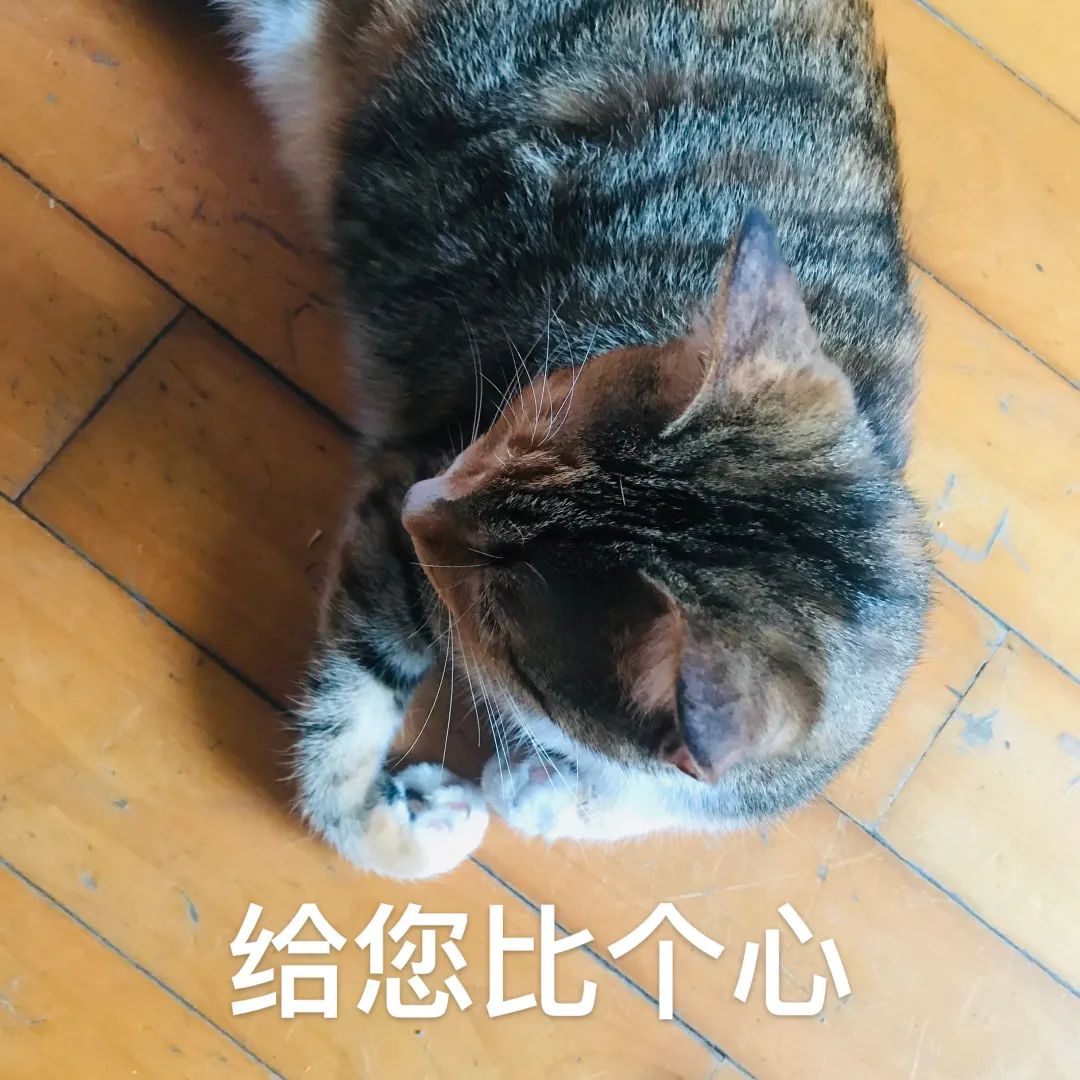 今天上午,刚刚宣布!沈阳买房的注意