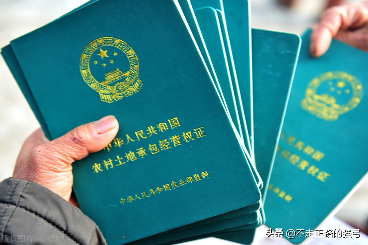 （农村）土地承包和租赁的区别