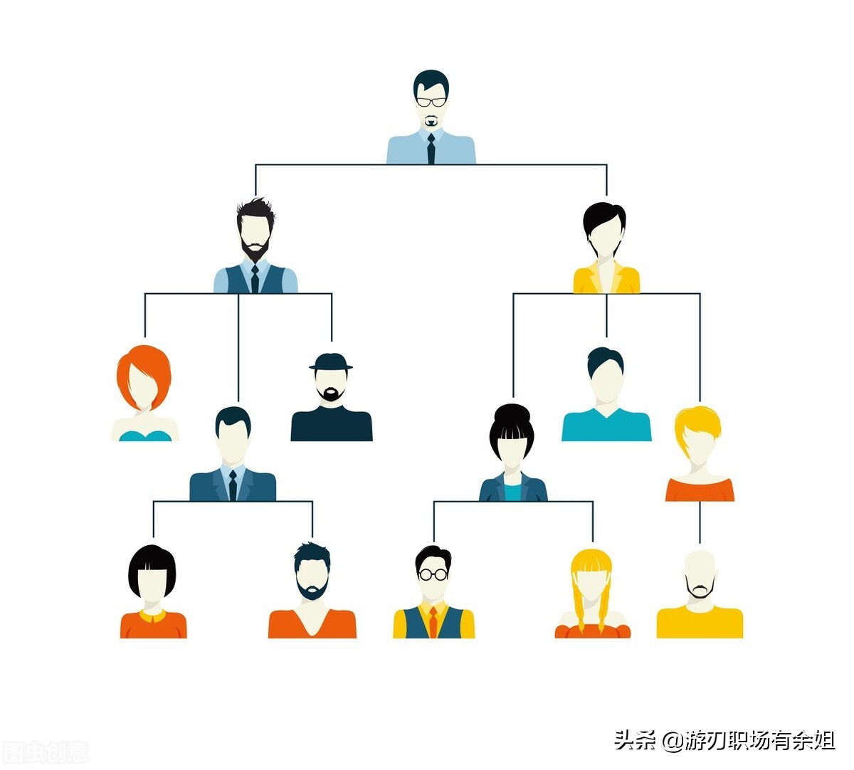 组织结构的功能与作用是什么？