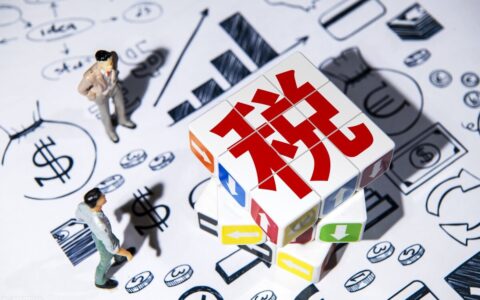 小规模纳税人的增值税是如何计算的