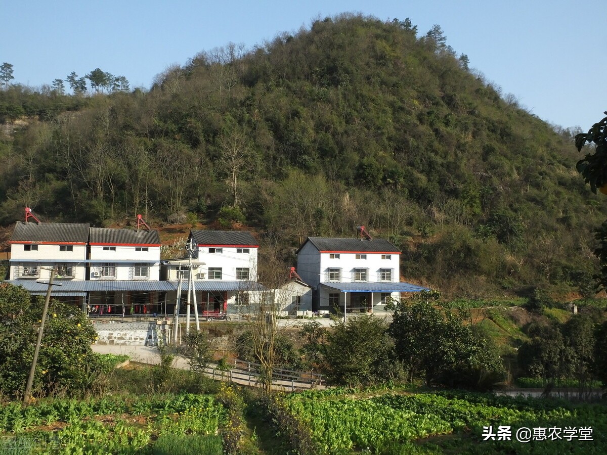 农村宅基地面积怎么算？包括院子吗？超过部分怎么收费？一文解读