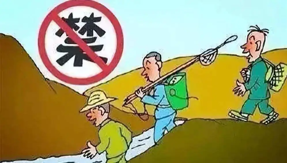 以案释法 | 禁渔期违反规定进行捕捞，罚！
