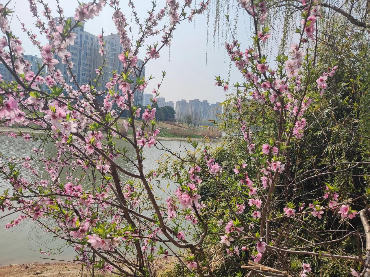 八种证据种类，六种证据取得方式‖如何对现场勘验证据有效质证