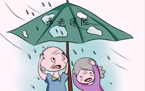 养老保险的个人缴费标准是多少？
