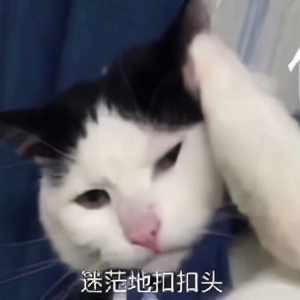 为什么有的人只买三责险不买车损险，车损险到底有没有必要买？