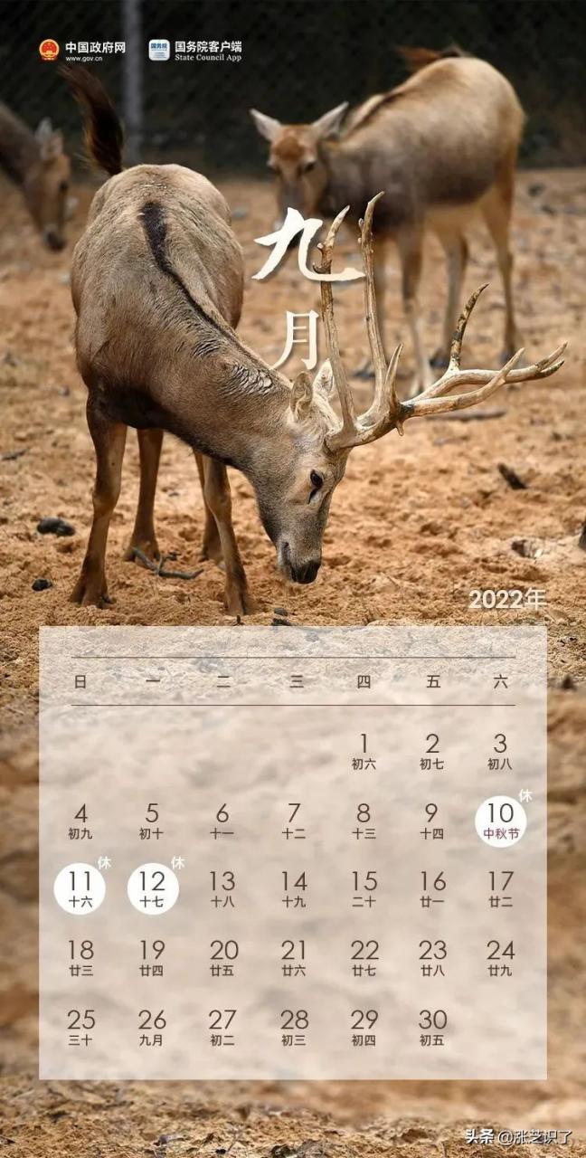 「周知」2022最新放假通知