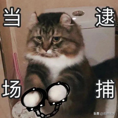 欠钱不还，会被拘留吗