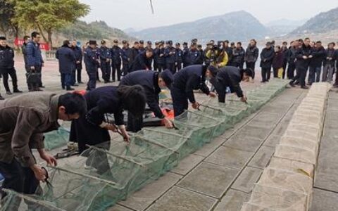 2025年警察可以钓鱼执法吗及关于钓鱼执法