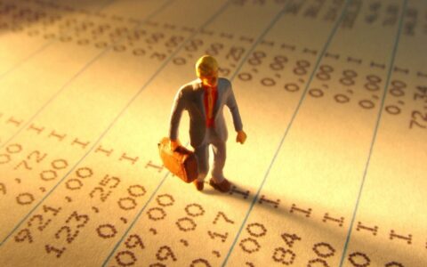 哪里可以查询一个公司是不是一般纳税人？