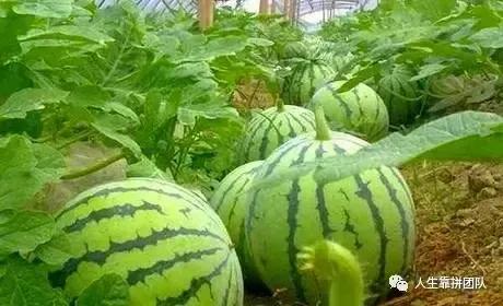 建设工程合同中无效格式条款认定依据及裁判规则